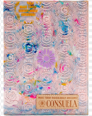 Consuela Jane Notebook Cover